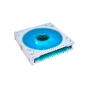 7.webp