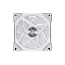 6.webp