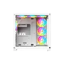 5.webp