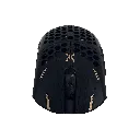 6.webp
