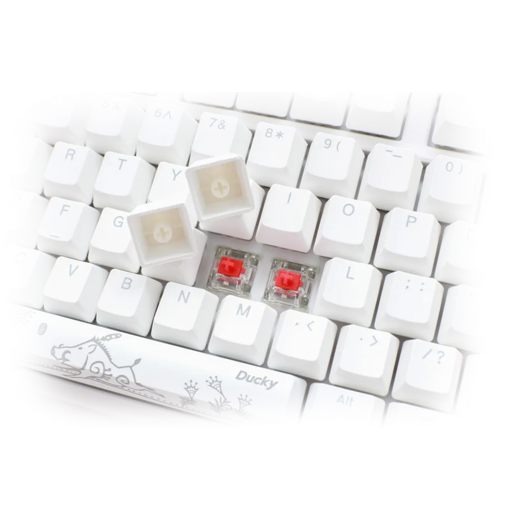 3.webp