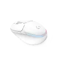 5.webp