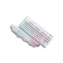 55.webp