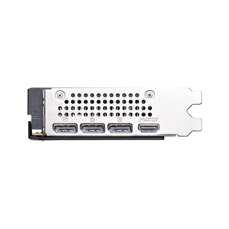 5.webp