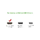 4.webp