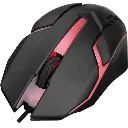 5.webp