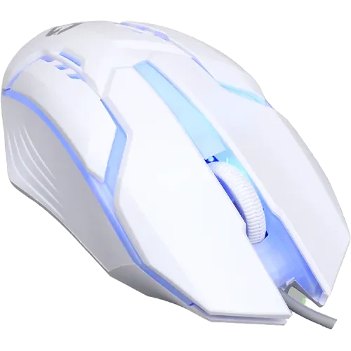 7.webp