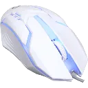 7.webp