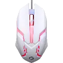 5.webp
