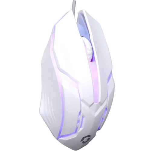 6.webp