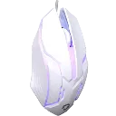 6.webp