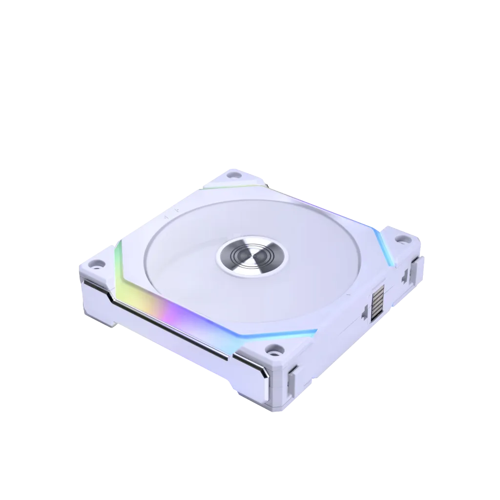 3.webp