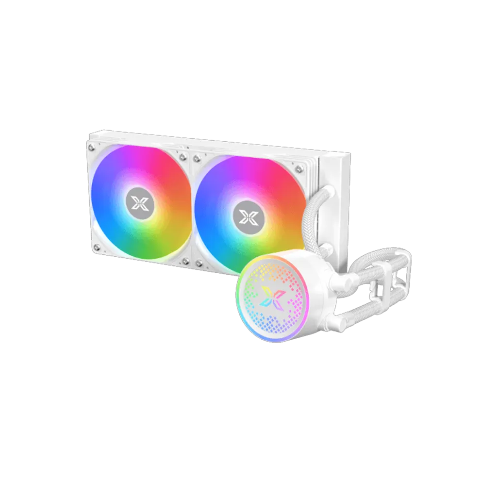 3.webp