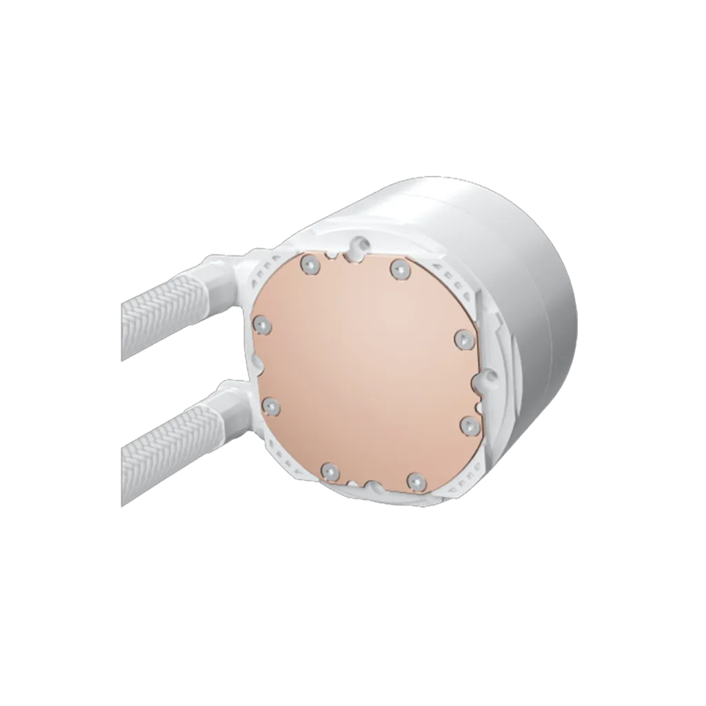 5.webp