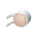 5.webp