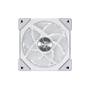 5.webp