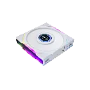 2.webp