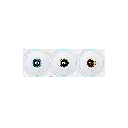 3.webp